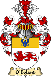 Irish Family Coat of Arms (v.23) for O