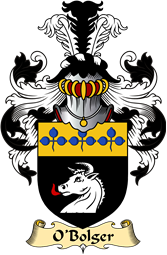 Irish Family Coat of Arms (v.23) for O