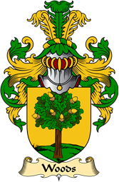 Irish Family Coat of Arms (v.23) for Woods