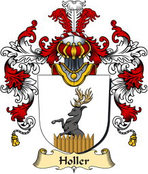 German Coat of Arms (v.25b) Holler
