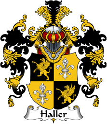 German Wappen Coat of Arms (v.25) Haller