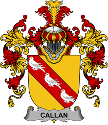 Irish Family Coat of Arms (v.25b) Callan or O