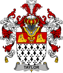 Irish Family Coat of Arms (v.25b) Taylor