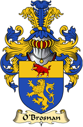 Irish Family Coat of Arms (v.23) for O