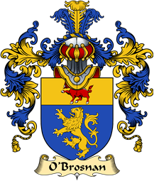 Irish Family Coat of Arms (v.25a) O