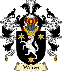 Irish Family Coat of Arms (v.25a) Wilson I